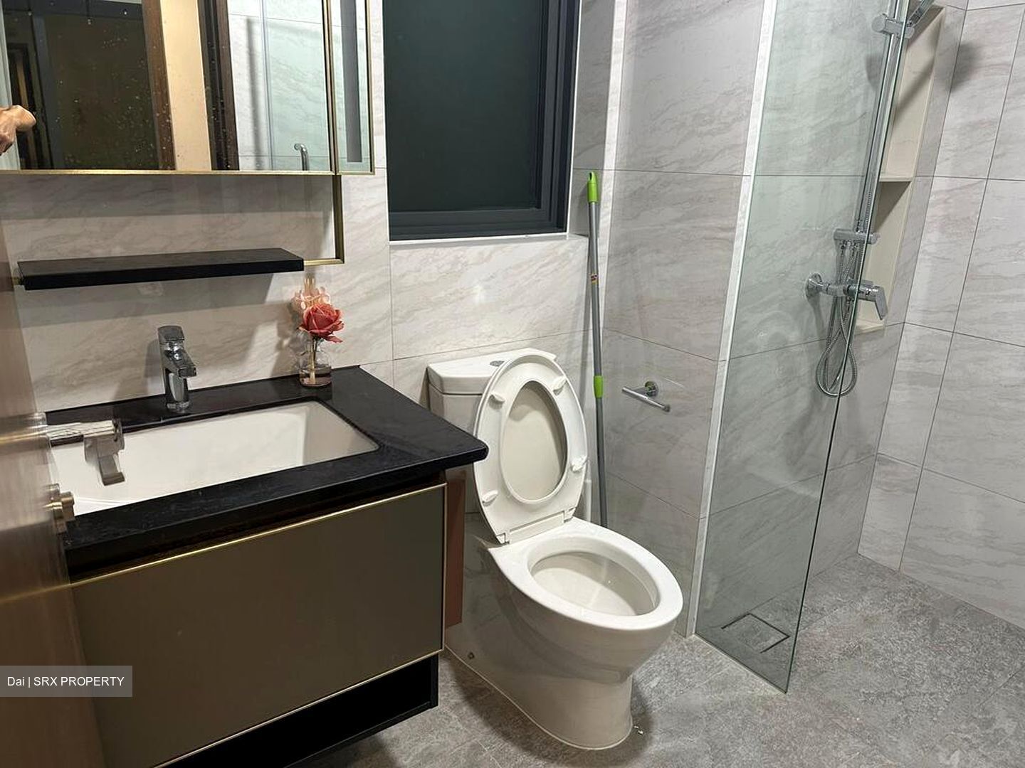 Normanton Park (D5), Apartment #503159321